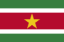 Flag_of_Suriname.svg.png